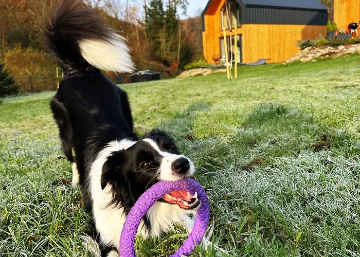 Dom wakacyjny Hill&chill Zdrój *